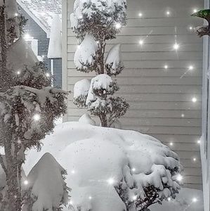 Meet your Posher, Marion